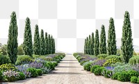 Serene garden pathway with trees