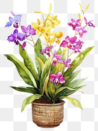 PNG Vibrant watercolor orchid illustration