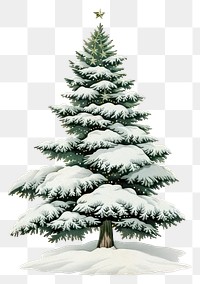 PNG Snow-covered Christmas tree illustration