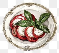 PNG Fresh Caprese salad on plate