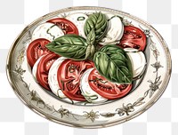 PNG Fresh Caprese salad illustration