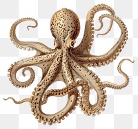 PNG Detailed vintage octopus illustration