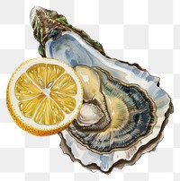 PNG Fresh oyster with lemon slice