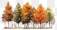 PNG Autumn watercolor trees illustration