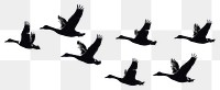 PNG Silhouette ducks flying formation