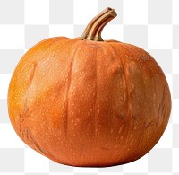 PNG Ripe pumpkin on neutral background