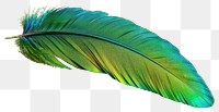 PNG Colorful vibrant feather closeup