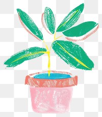 PNG Colorful potted plant illustration