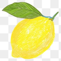 PNG Bright yellow lemon illustration