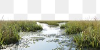 PNG Serene wetland landscape with water.