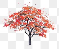 PNG A japanese autumn tree color painting plant maple.