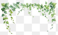 PNG  Elegant watercolor ivy border illustration