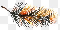 PNG Autumn leave tree conifer animal.