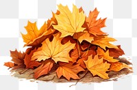 PNG  Autumn leaves pile illustration