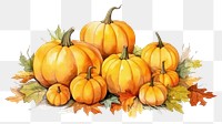 PNG  Autumn pumpkins with colorful leaves