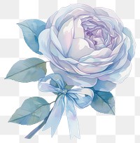 PNG  Elegant pastel rose illustration