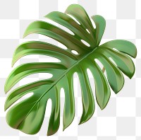 Vibrant monstera leaf illustration