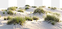 PNG Serene sandy dunes with vegetation