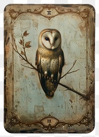 PNG Vintage owl tarot card illustration