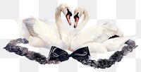 PNG  Elegant swans with black lace