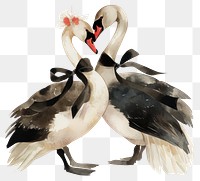 PNG  Elegant swans in love