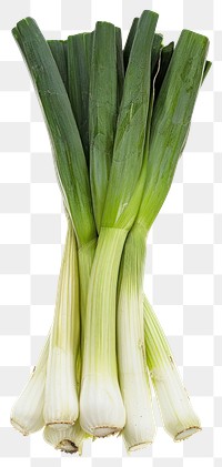 PNG  Fresh green organic leeks bunch