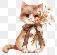 PNG  Cute kitten holding flowers illustration