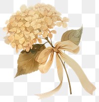 PNG  Elegant watercolor hydrangea illustration