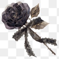 PNG  Elegant dark rose illustration