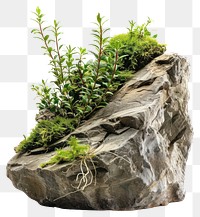 PNG  Miniature rock garden with plants