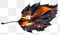 PNG  Burning leaf with fiery veins