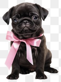 PNG Adorable puppy with pink bow