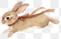 PNG  Cute rabbit with brown ribbon