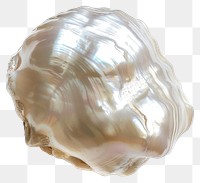 PNG Lustrous natural white pearl shell