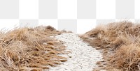 PNG Sandy path border, transparent background