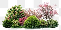 PNG Lush garden plants, transparent background