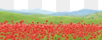 Landscape poppy field backgrounds. 