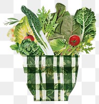 PNG Salad collage cutout green accessories vegetable.