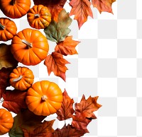 PNG Autumn pumpkins leaves border, transparent background