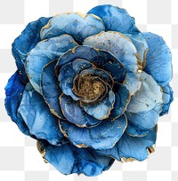 PNG  Blue flower with golden accents