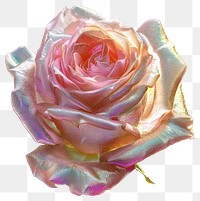 Holographic iridescent pink rose