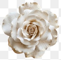 PNG  Elegant white rose illustration