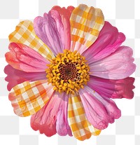 PNG  Colorful mixed-media flower illustration