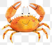 PNG Crab invertebrate seafood lobster.