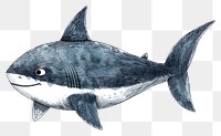 PNG Shark shark illustrated drawing.