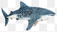 PNG Whale Shark shark whale animal.