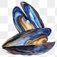 PNG Vibrant watercolor mussel illustration