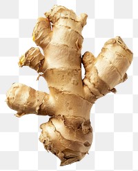 PNG Ginger ginger fungus plant.