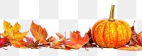 PNG  Autumn leaves pumpkin seasonal decoration