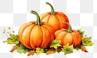 PNG  Vibrant autumn pumpkins illustration